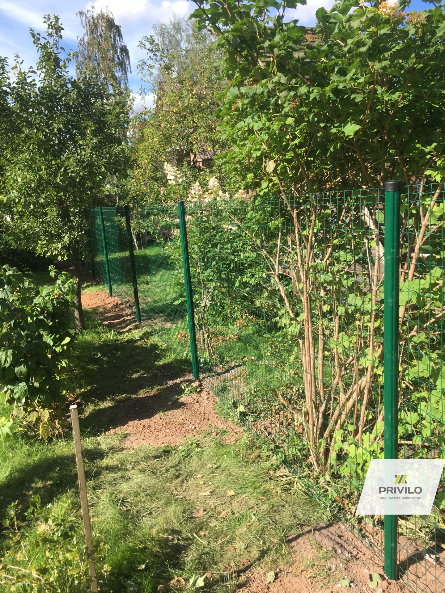 Keevisvõrgust aed eramaja hoovis looduse keskel – Privilo