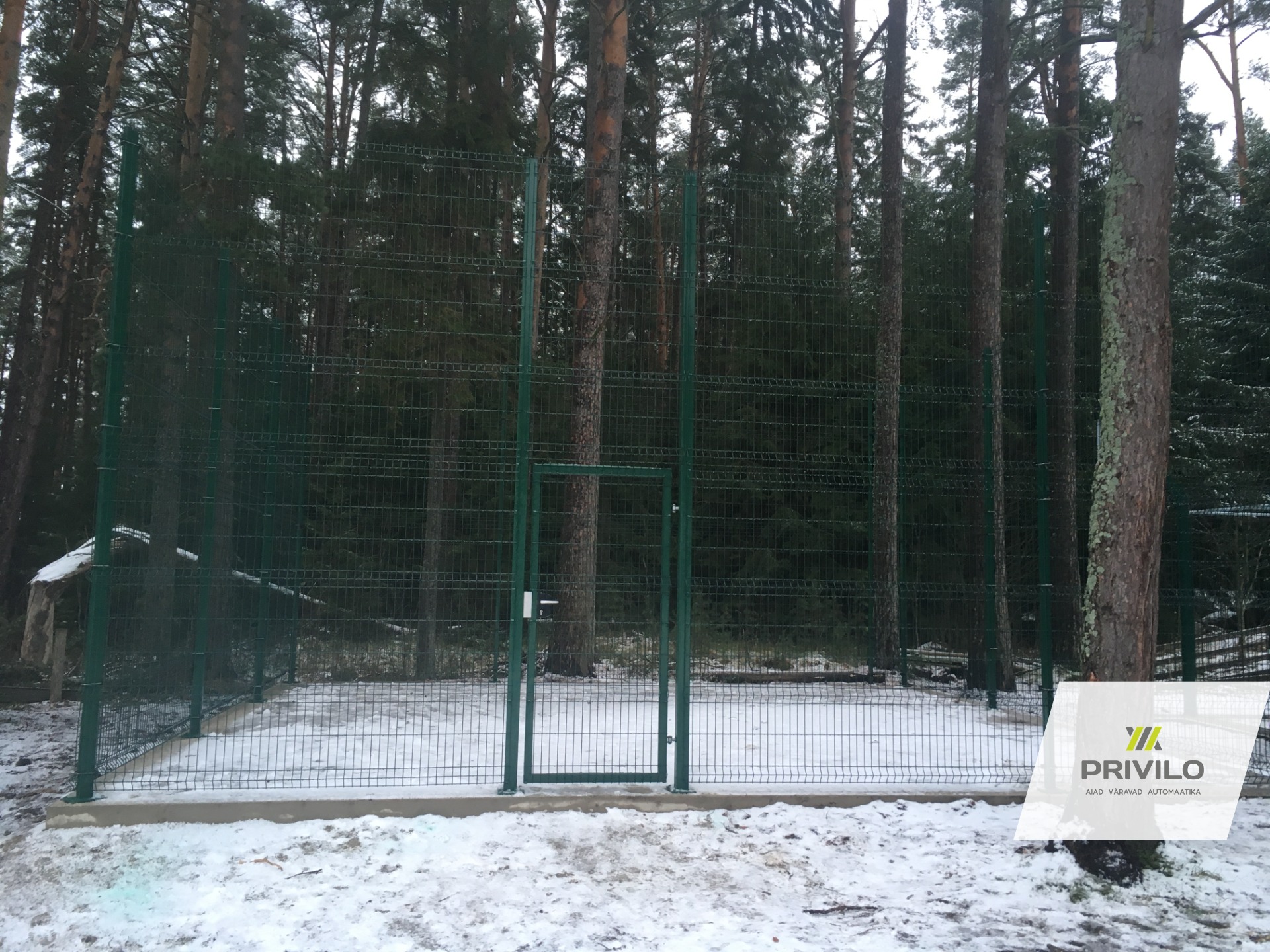 Korvpall. Paneelaed. Jalgvärav., Paneelaiad, Jalgväravad, Harjumaa, pilt 2 – Privilo