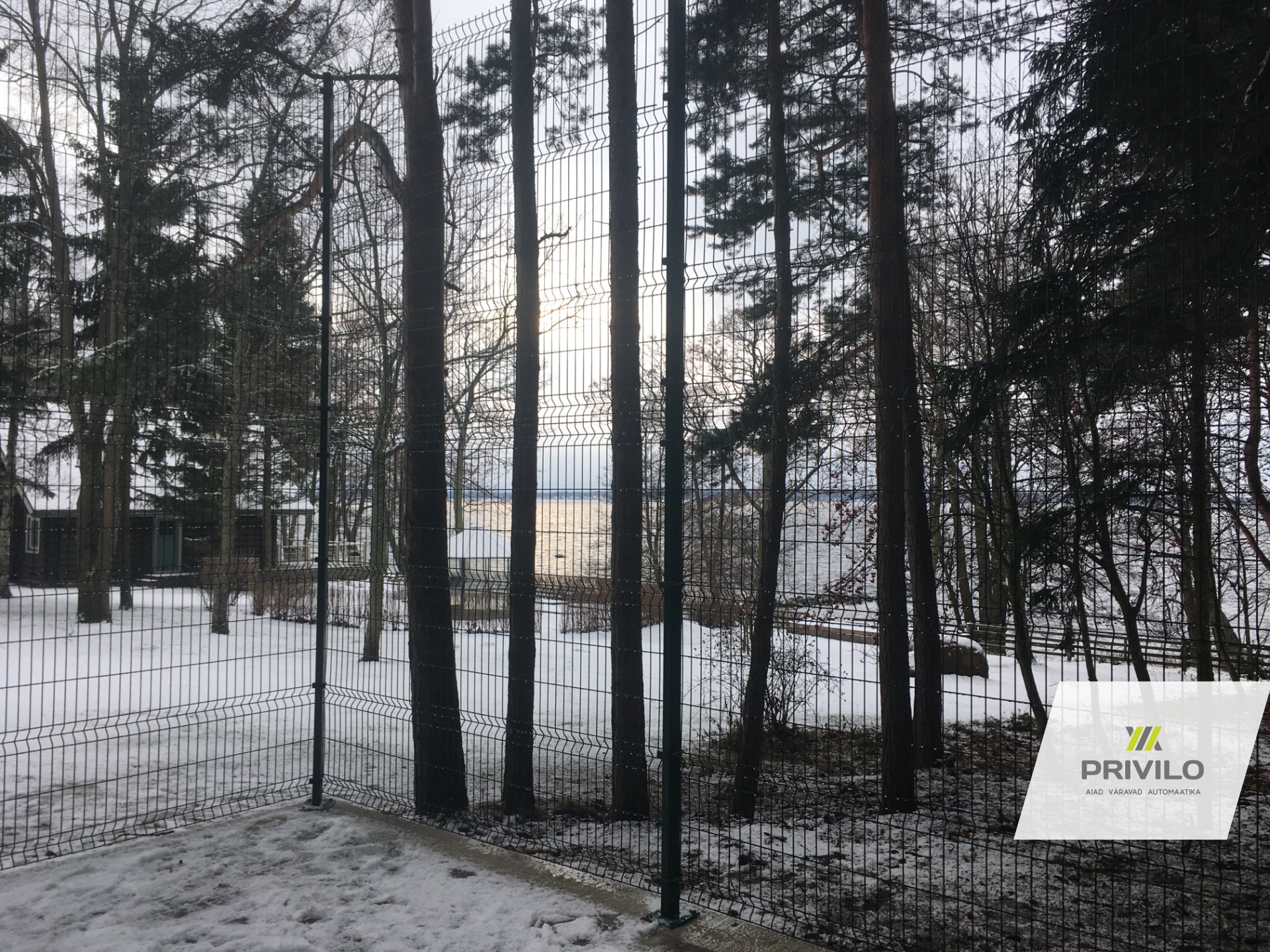 Korvpall. Paneelaed. Jalgvärav., Paneelaiad, Jalgväravad, Harjumaa, pilt 3 – Privilo