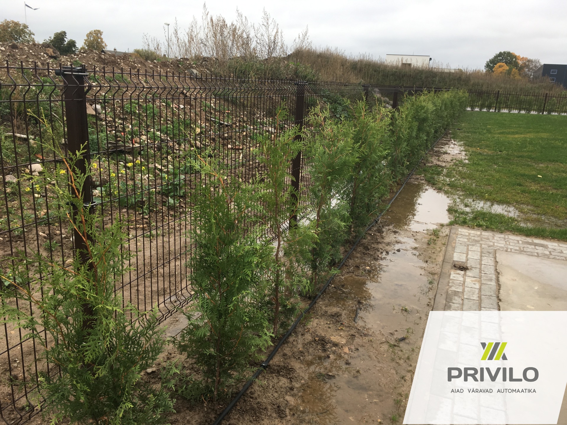 Varbaed. Paneelaed. Automaatikaga liugvärav., Paneelaiad, Metallaiad, Liugväravad, Tartumaa, pilt 6 – Privilo