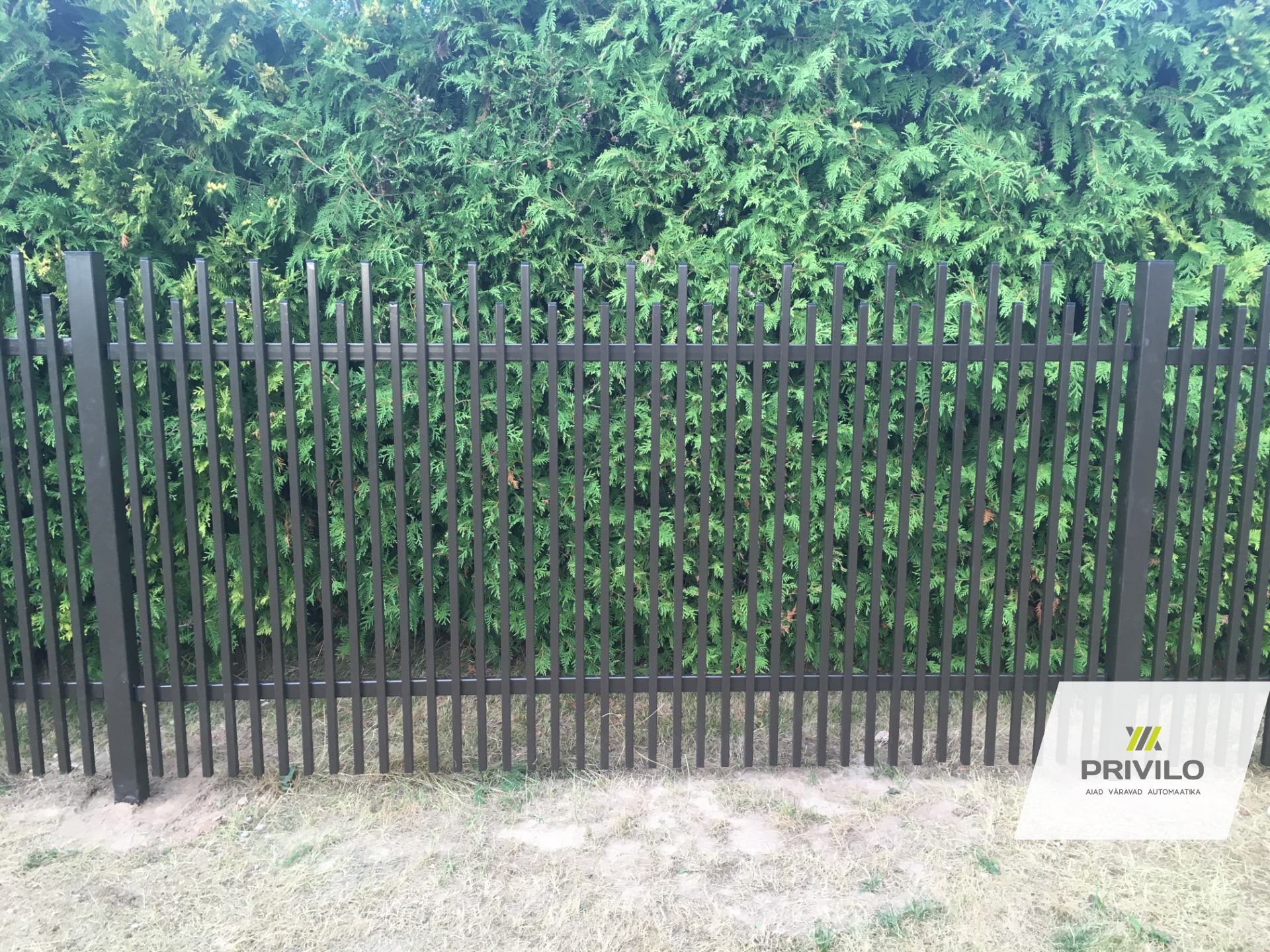 Metallaed. Varbaed., Metallaiad, Tartumaa, pilt 2 – Privilo