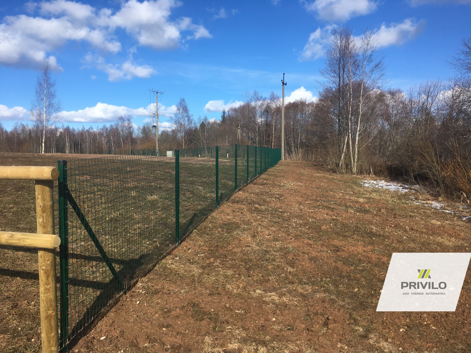 Võrkaed 50×50 silmaga, roheline PVC-kattega – Privilo